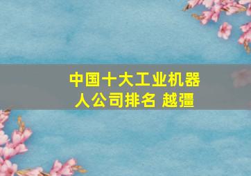 中国十大工业机器人公司排名 越彊